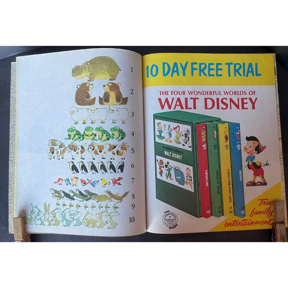 Forest Hotel Counting Story Little Golden Book 1977 Steincrohn Davis
